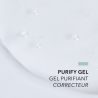 PURIFY GEL, Seboregulator Gel  Oily Skin | Laboratoire ENEOMEY