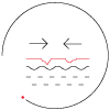 Régénération Acide Hyaluronique Laboratoire ENEOMEY