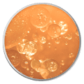Calendula Lip Nutrition Eneomey